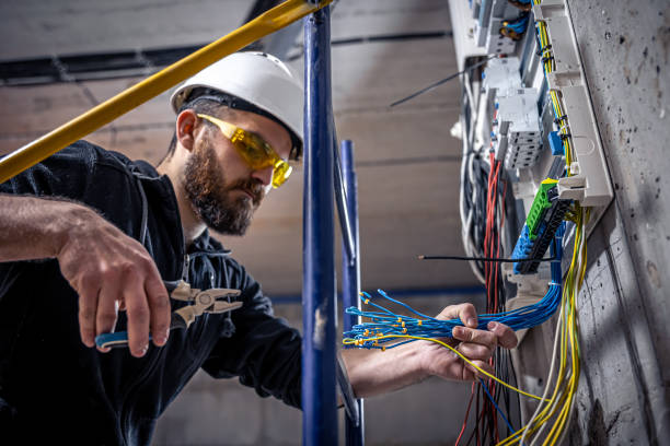 Best Local Electrician Companies  in Van Vleck, TX